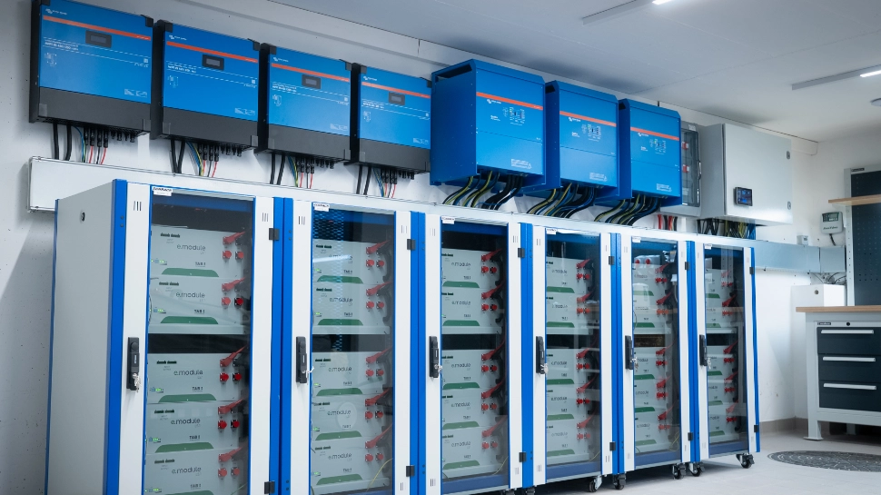 realizacja z 29.01.2025